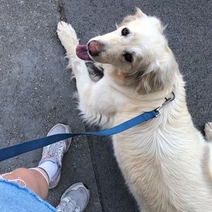 Meet your Posher, Kendra